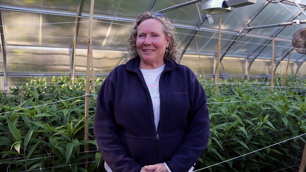 Sabatia Flower Farm | Marstons Mills, Mass. | Energy efficiency