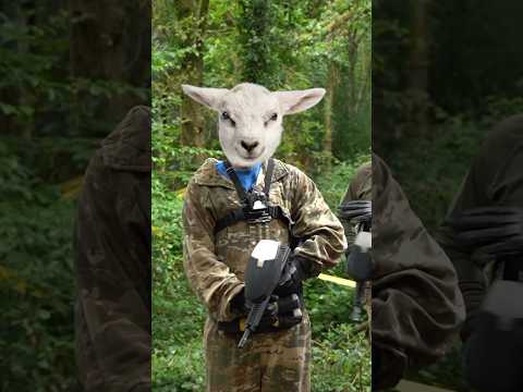 i hired the SAS to play paintball