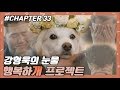 CHAPTER 33 | 강형욱의 눈물.. 행복하'개' 프로젝트 !! #강형욱 #개통령 #개훈련사 [개는 훌륭하다] ㅣ KBS방송