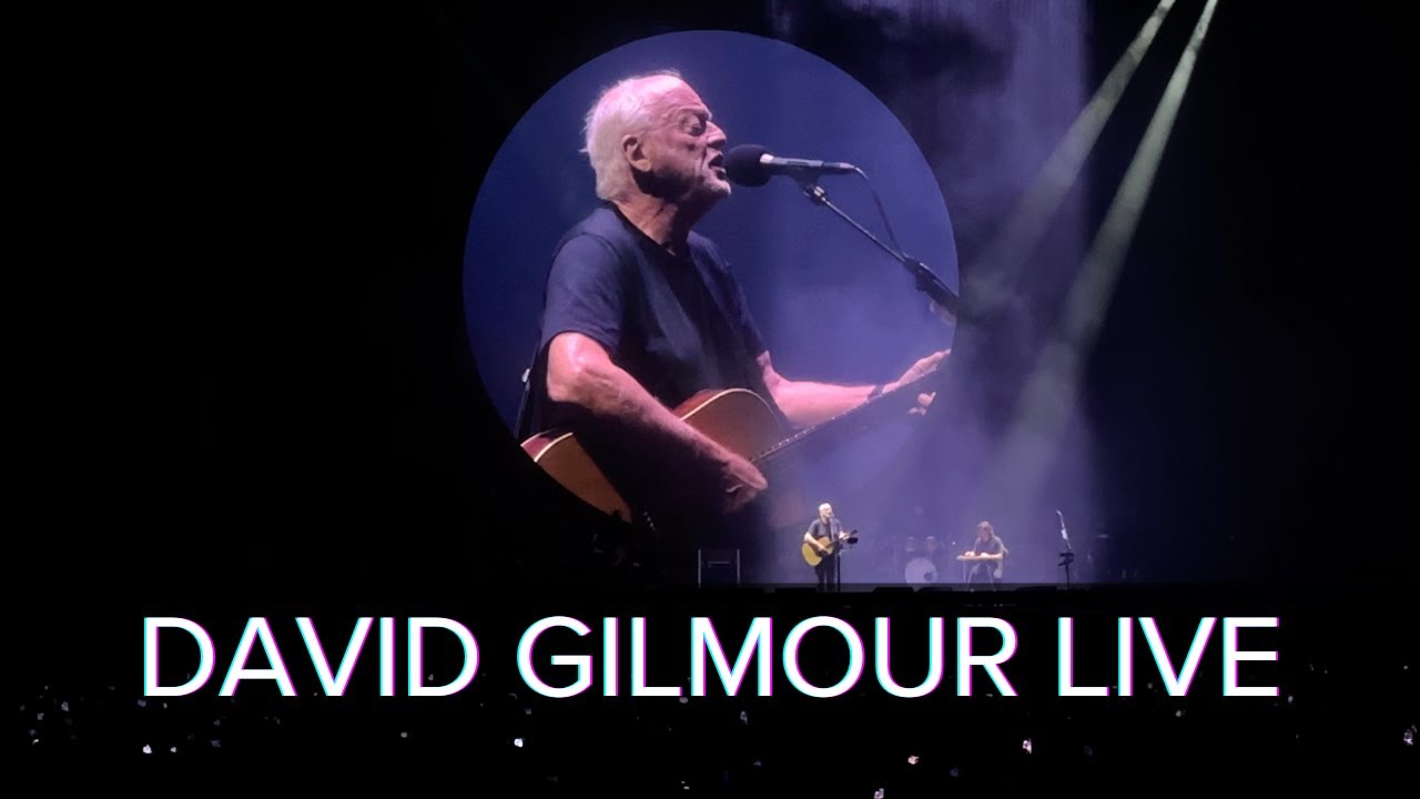 Best Concert Ever! David Gilmour in Rome Live 4k Vlog (Luck and Strange Tour)
