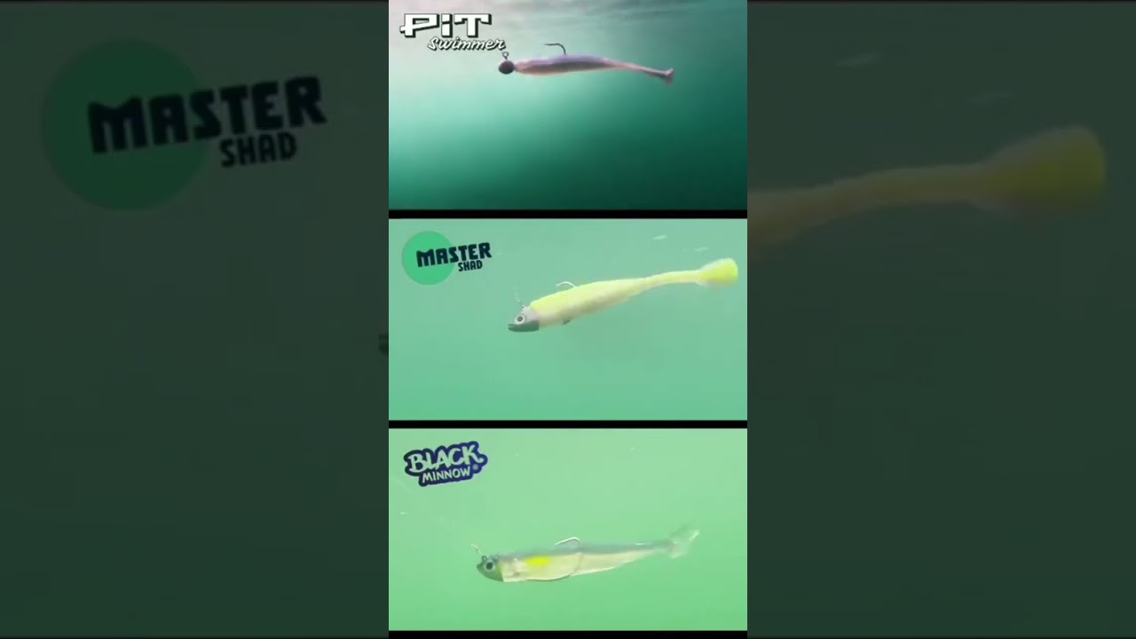 Differenza tra Pit Swimmer, Black Minnow e Master Shad di Fiiish 