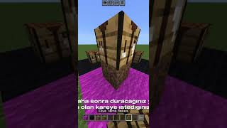 OPTİK İLİZYON. #optikillüzyon #ilizyon #keşfet #minecraftshorts #minecraftillusion