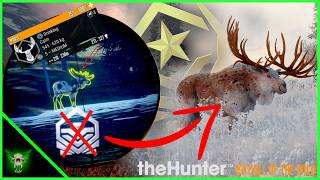 From Heartbreak to Great One! | theHunter: Call of the Wild
