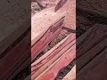 Amazing Wood Grain | Processing Premium Timber