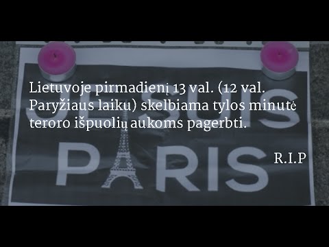 Video: Miestai Visame Pasaulyje Pabrėžia Savo Orientyrus, Solidarizuodamiesi Dėl Paryžiaus