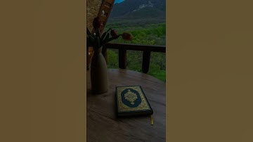 القارئ محمد الحيدان #تلاوة_قرآن