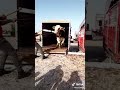 اضخم عجل فى العالم