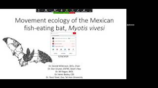 Movement ecology of the Mexican fish-eating bat, Myotis vivesi