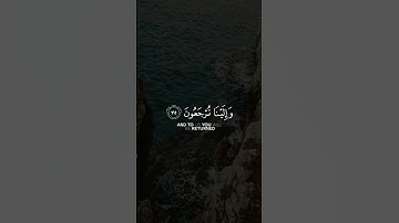 اجمل تلاوة قرآن #كريم #عبدالله_الموسى #قرائه_مريحه