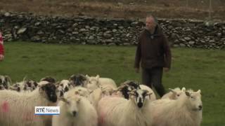 Was aired on rte. such a strong accent that i couldn't understand even
single word ))) thus, better make sure you are familiar with the
before headi...