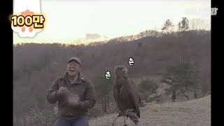 The man and the white tailed eagle