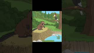 Почему бобры строят плотины#familyguy #гриффины #лучшиемоменты