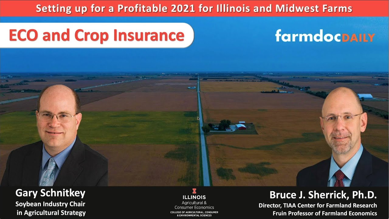 ECO and Crop Insurance YouTube