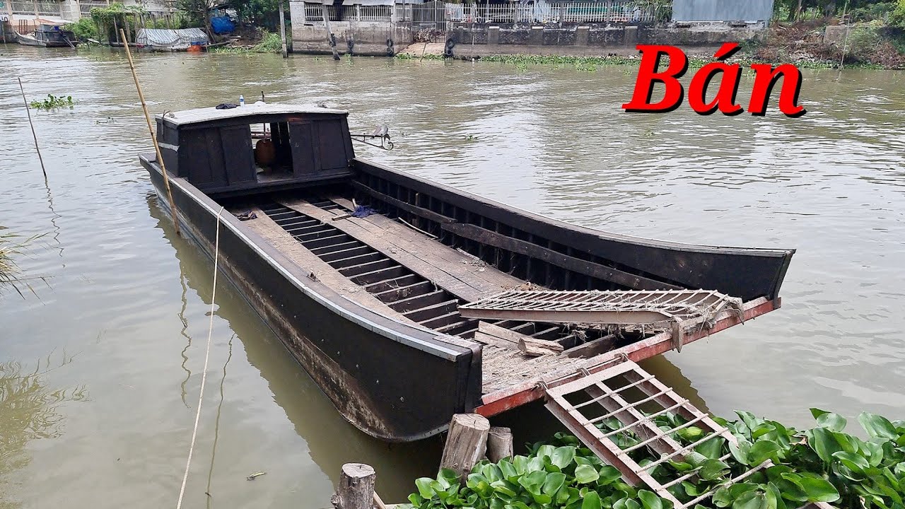 Bán phà cây sao sông lớn ngang 3m1 dài 11 ủi d24 anh em cần lh 0386757685