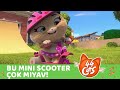 44 Kedi | "Bu Mini Scooter çok Miyav!" şarkısı [VIDEOCLIP]