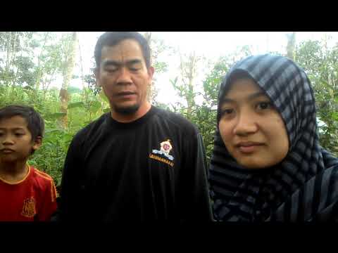 Tips Dari Petani