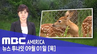 눈에서 피 흘리는 &#39;좀비 사슴&#39; 비상 - MBC AMERICA (2022년 9월 1일)