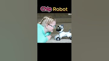Chip Smart Pet - Intelligent RC Robot Dog Toy #chips #chip #chiprobot #ai #robot #shorts #trending