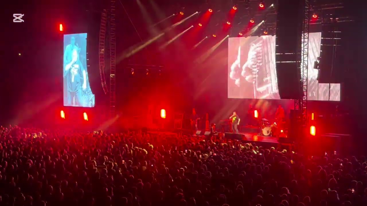 Koncert KULT 15.11.2025