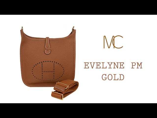 Hermes Evelyne PM Blue Pale Bag Gold Hardware Clemence Leather • MIGHTYCHIC  • 