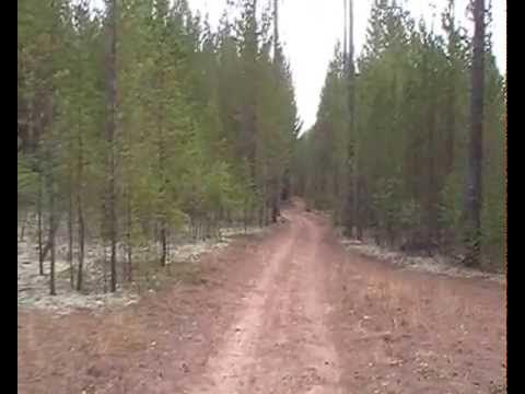 Погода в янгеле иркутской области. П Янгель Нижнеилимский район. Посёлок Янгель Иркутской области. Иркутская область Нижнеилимский район поселок Янгель. Янгель озеро.