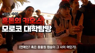 카사블랑카 영상