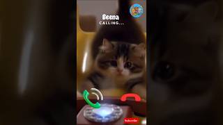 Download Lagu 🤙 😺 #ringtone #cat #trending #cutecat #youtubeshorts #viralshort #calling #kitten #telephone #call MP3