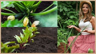 23 Gemüse, die du im Juli säen und pflanzen solltest!