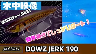 水中映像】ダウズジャーク190！簡単操作で、楽しいビッグベイトゲーム