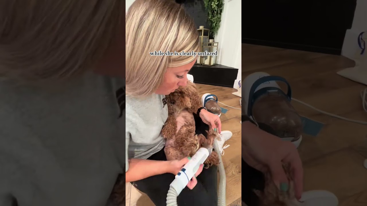 Fresh Puppy Haircut at Home! Affordable Grooming Kit Under $20 |