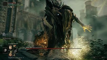 Margit delayed so much he forgot to attack