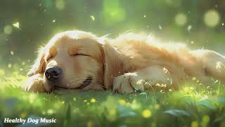 Peaceful Dog Music🐶💖Dog Music for Stress🐶🎵Dog Calming Music for Nervous Dogs🐶