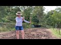 Regenerative Farming a Farming Revolution in Australia - Multi species cover crop proves itself.