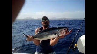 'Gone Fishing' (Fuerteventura) - Some Of Our Catches