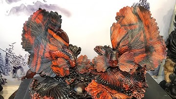 Cặp cá trọi Gỗ trắc-CÁ xiêm TÀI LỘC tượng gỗ Nguyễn Hồng