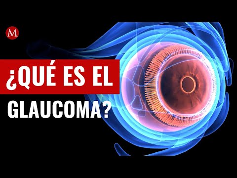 Video: Programas de contabilidad: una lista del mejor y más asequible software de contabilidad