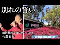 「別れの誓い」鶴岡雅義と東京ロマンチカ 佐藤省吾♨️芦野温泉湯治日記♨️ツツジサク 歌は0:43から始まります♪