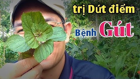 Bài thuốc trị bệnh Gút Rất Tuyệt vời | PHAN HẢI Channel