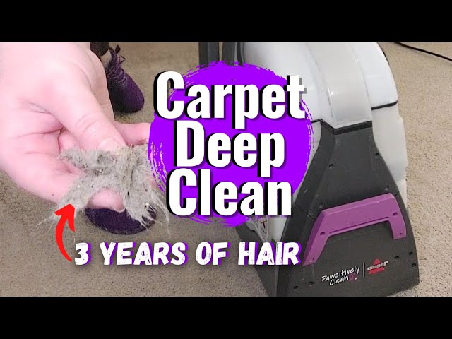 How To Clean A Sofa With A Bissell Big Green Carpet Rental - Ace Hardware 