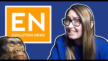 Intelligent Design Website Attempts to Explain Primate Phylogeny