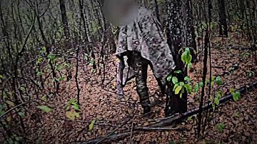 Belgorod - XX.04.2025. SOF Fighters Move Through A Forested Area During A Raid On Enemy Territory.