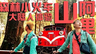 大陆人 | 一个人来阿里山4.3震后 | 森林小火车阿里山一天够吗森林铁路便当嘉义神木站高山杜鹃Solo Travel to Alishan National Park, Taiwan