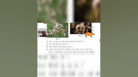 Std-5, Sub - Evs, chapter - 5, part - 2, shree J. M. K. Primary school, unjha.