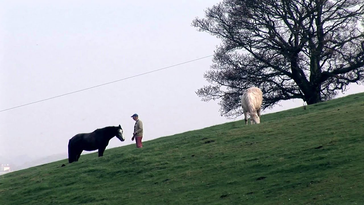 TRAILER The View From Here (2012) Scotland