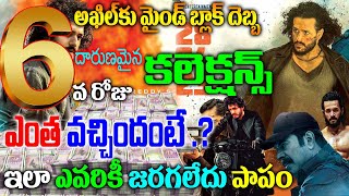 Agent Movie 6th Day Collections|Agent Movie Sixth Day Collections|Akhil Agent Box Office Collections