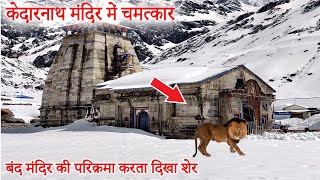 Kedarnath Mandir Mein Chamatkar | Mahadev ke Chamatkar