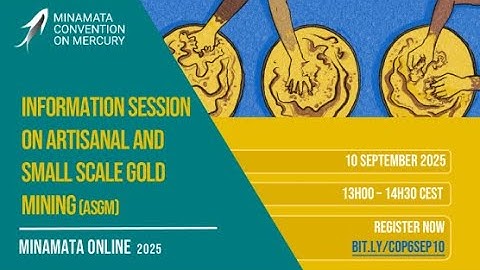 Information session on artisanal and small-scale gold mining (COP-6 Preparation)