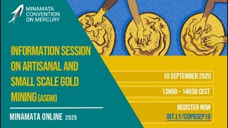 Information session on artisanal and small-scale gold mining (COP-6 Preparation)