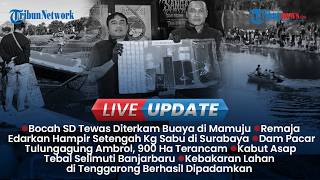 🔴LIVE UPDATE SIANG: Bocah di Mamuju Tewas Diterkam Buaya, Kampung Bahlil Dilanda Asap Imbas Karhutla