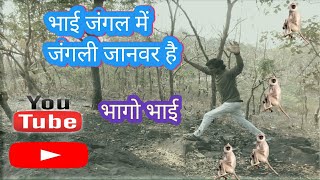 जंगल में कुछ है।।?jungle me kuchh hai।। ajay s vlog video??